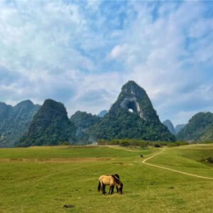 Full day motorbike Cao Bang Loop - Hình ảnh 8