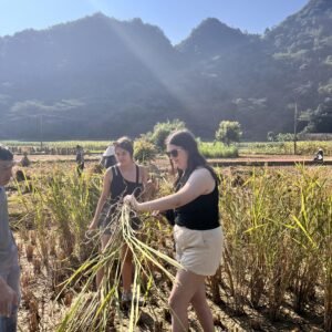 The 5 day epic north: Ha Giang – Cao Bang – Ban Gioc waterfall - Hình ảnh 9