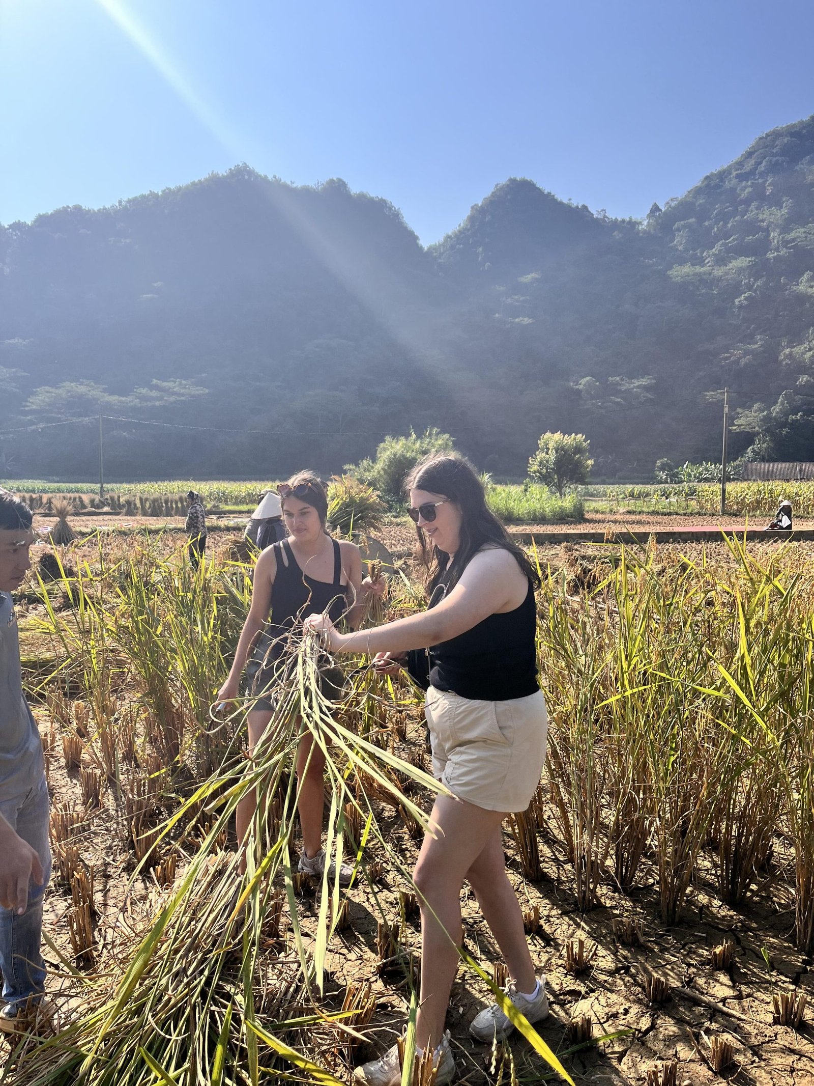 The 5 day epic north: Ha Giang – Cao Bang – Ban Gioc waterfall