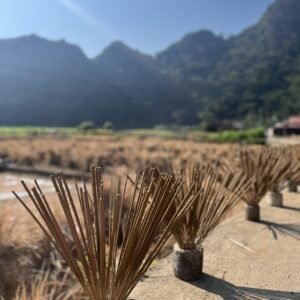 Full day motorbike Cao Bang Loop - Hình ảnh 3