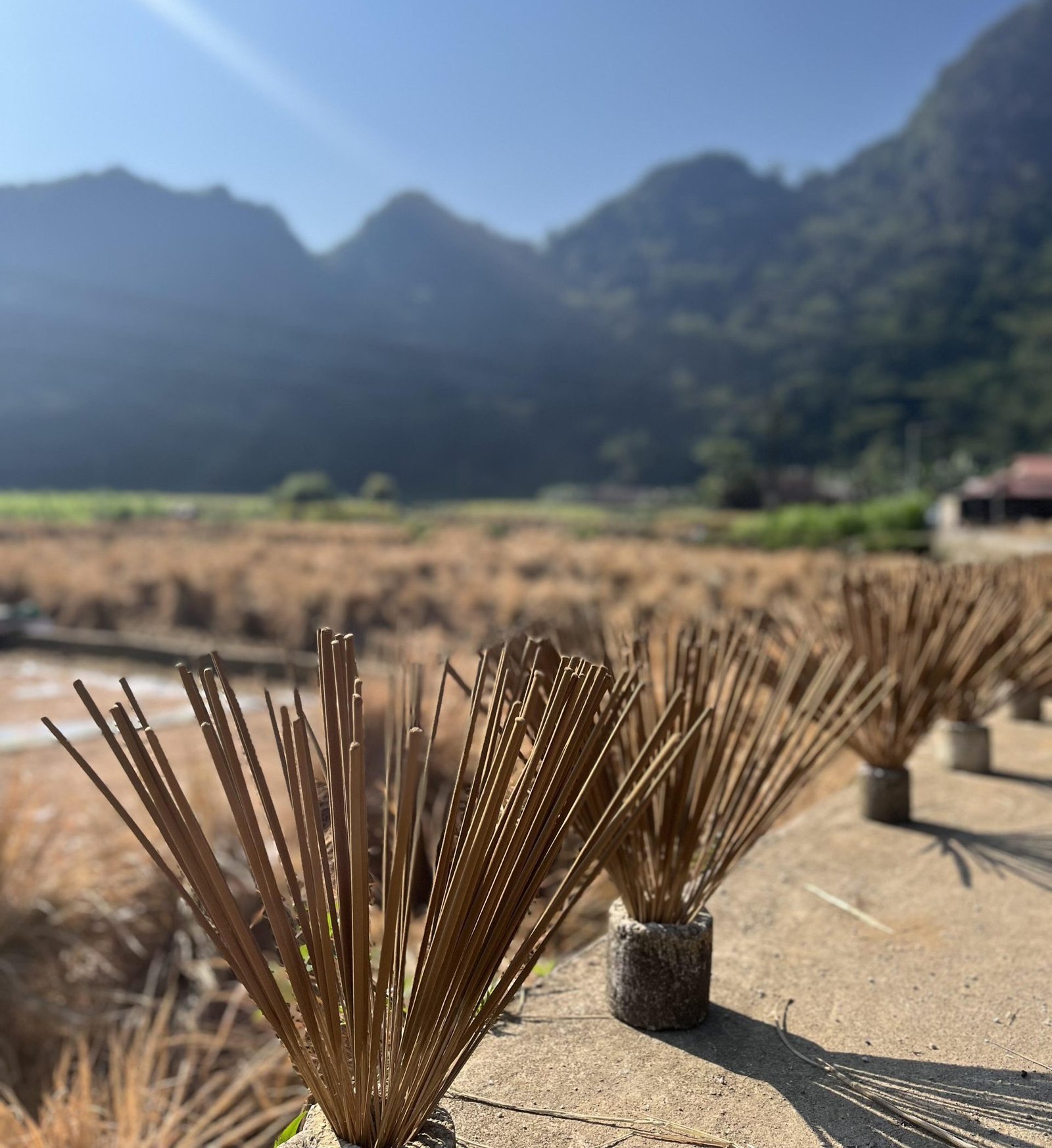 Full day motorbike Cao Bang Loop - Hình ảnh 3